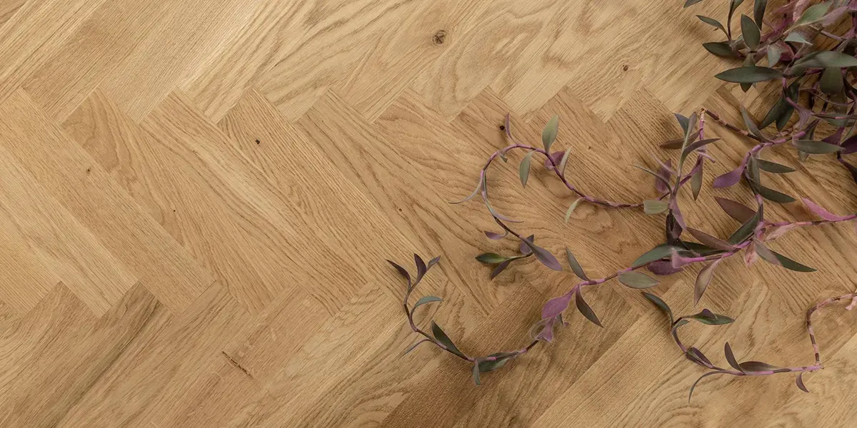 Alla våra kampanjer